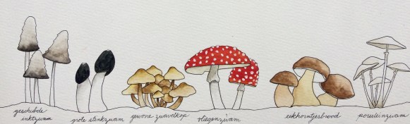 29301223-B8A6-4DEB-AB7D-2153DCC8039E