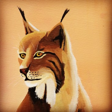 8D8DD053-8695-47CD-BF35-8175D2143C0F